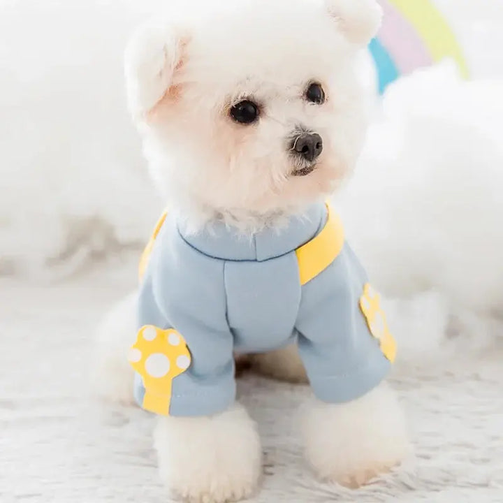 Autumn Winter Pet Dog Warm Clothes Fleece Dog Hoodies Coat with Messenger Bag Chihuahua French Bulldog Pullover Dog Girl Costume Dropshipman