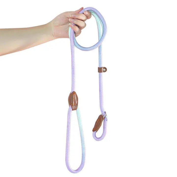 Dog Leashes Dog Slip Lead Dog Training Leash Strong Heavy Duty Braided No Pull Training Lead Leashes for Small Medium Large Dogs Dropshipman