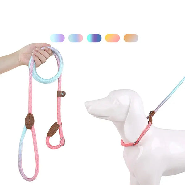 Dog Leashes Dog Slip Lead Dog Training Leash Strong Heavy Duty Braided No Pull Training Lead Leashes for Small Medium Large Dogs Dropshipman