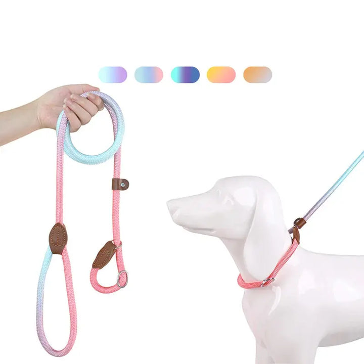 Dog Leashes Dog Slip Lead Dog Training Leash Strong Heavy Duty Braided No Pull Training Lead Leashes for Small Medium Large Dogs Dropshipman
