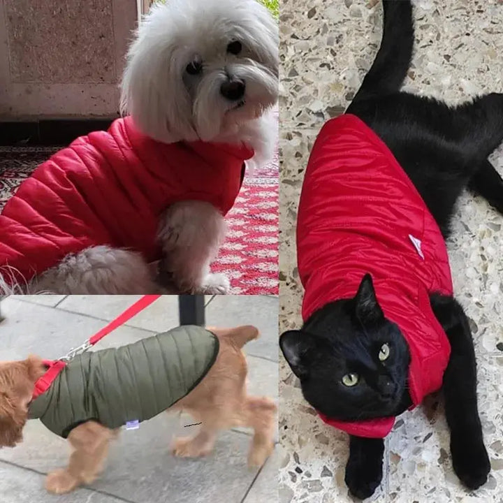 Small Dogs Clothes Winter Warm Pet Vest Puppy Coat for Chihuahua French Bulldog Outfit Yorkies Jacket Dog Accessories Ropa Perro Dropshipman