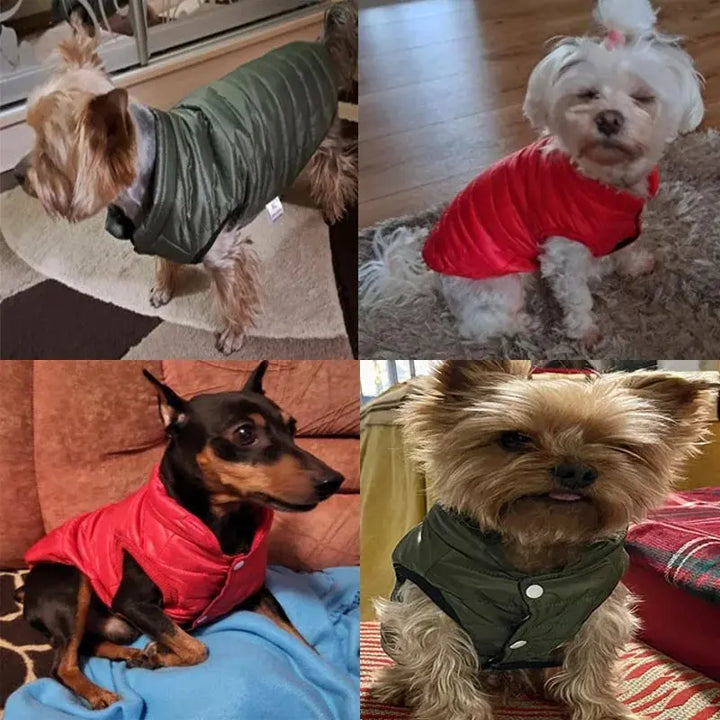 Small Dogs Clothes Winter Warm Pet Vest Puppy Coat for Chihuahua French Bulldog Outfit Yorkies Jacket Dog Accessories Ropa Perro Dropshipman