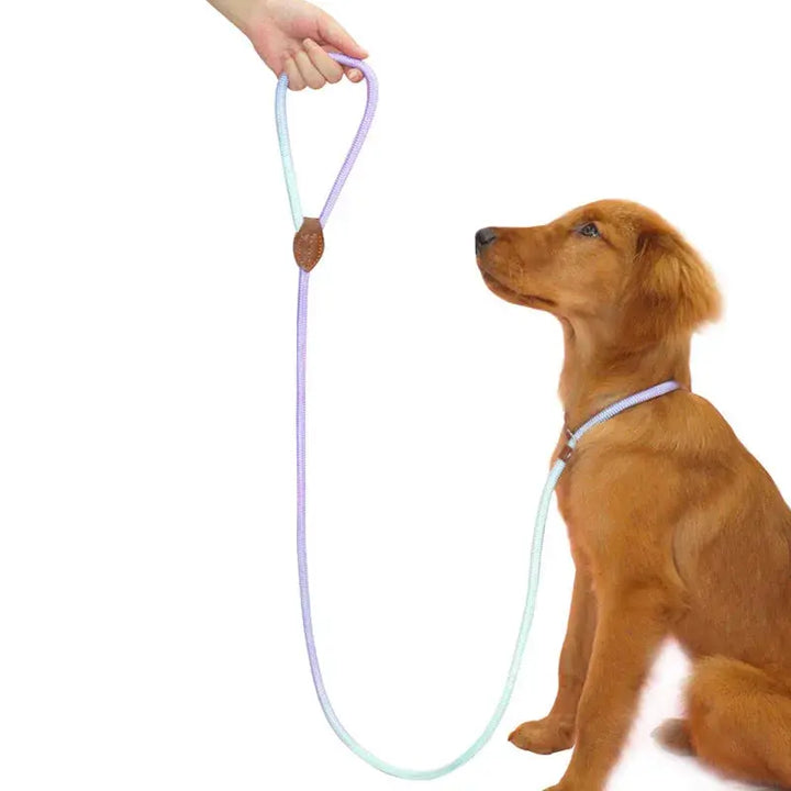 Dog Leashes Dog Slip Lead Dog Training Leash Strong Heavy Duty Braided No Pull Training Lead Leashes for Small Medium Large Dogs Dropshipman