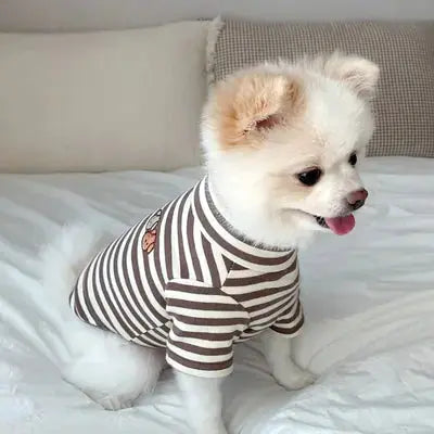 Lightweight Summer Clothing for Small Dogs My Store