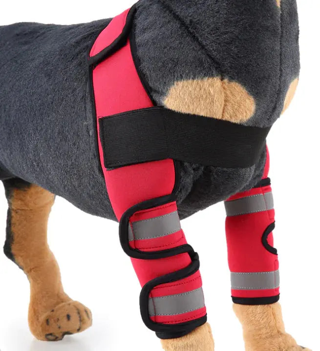 Dog Knee Brace and Leg Protector for Injury Recovery My Store