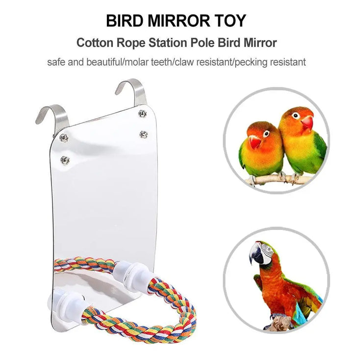 Acrylic Bird Mirror Toy: Enhance Your Parrot's Playtime! Dog Hugs Cat