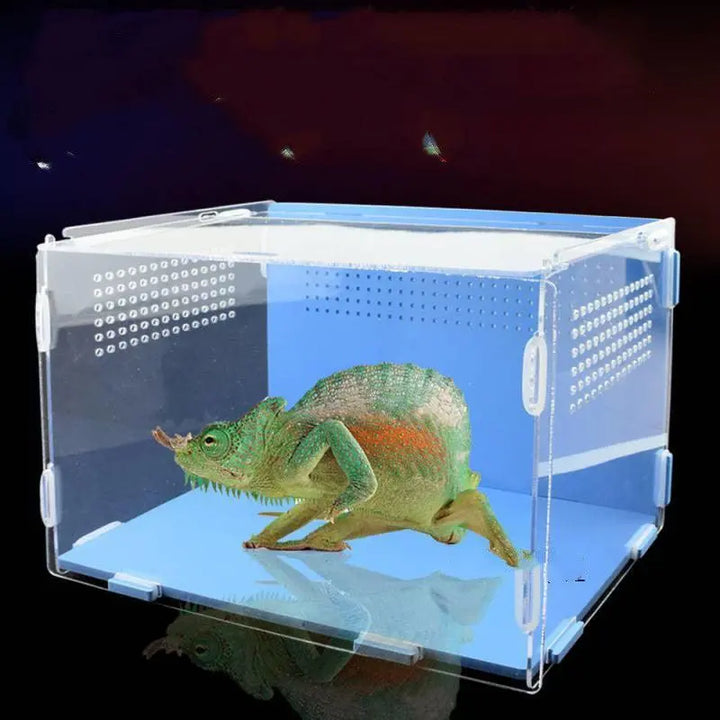 Acrylic Reptile Feeding Habitat - Transparent Thermal Box Dog Hugs Cat