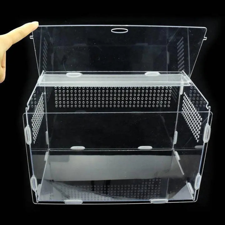 Acrylic Reptile Feeding Habitat - Transparent Thermal Box Dog Hugs Cat