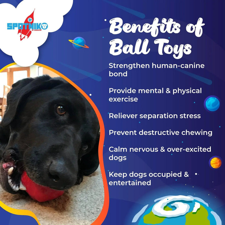 Asteroid Ultra Durable Rubber Chew Toy for Active Dogs SodaPup