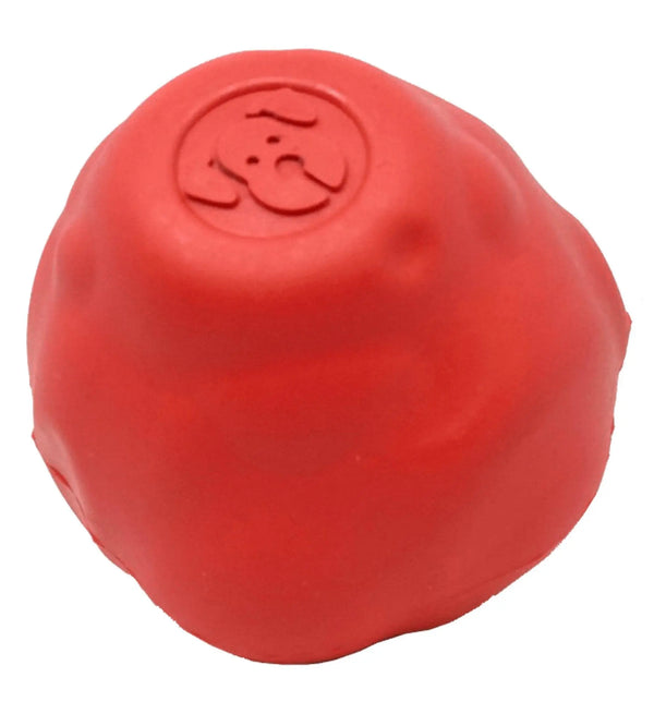 Asteroid Ultra Durable Rubber Chew Toy for Active Dogs SodaPup