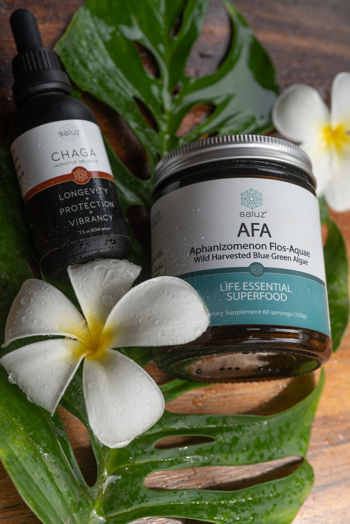 Saluz Detox Bundle – The Ultimate Cleanse with AFA & Chaga Mushroom-1