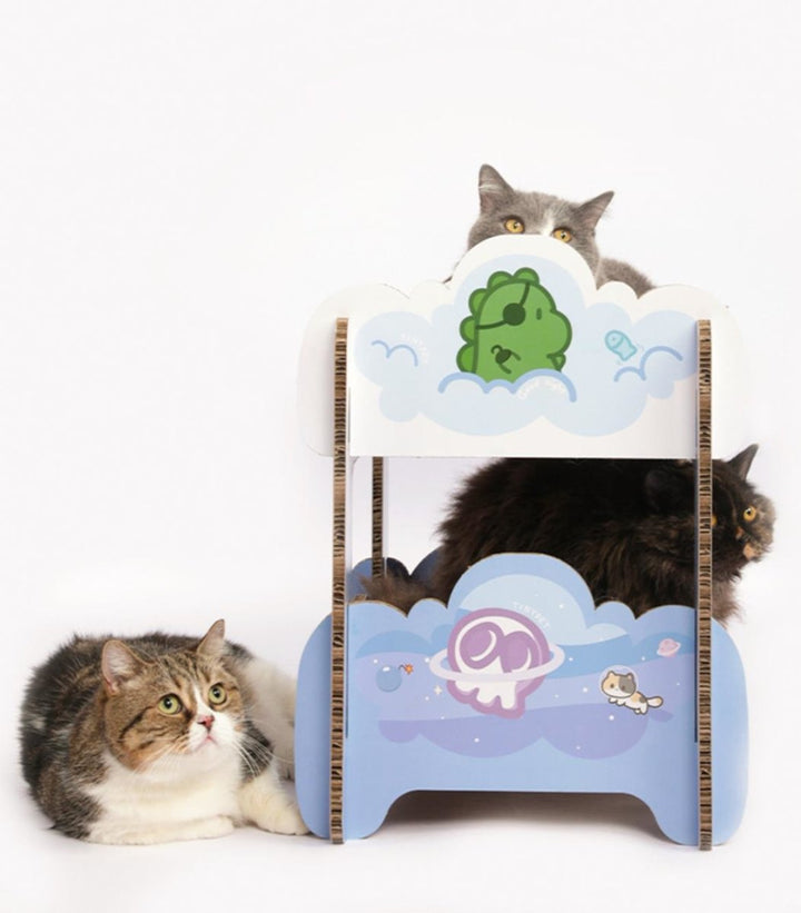 Boys' Dormitory Blue Cat Scratching Board-3