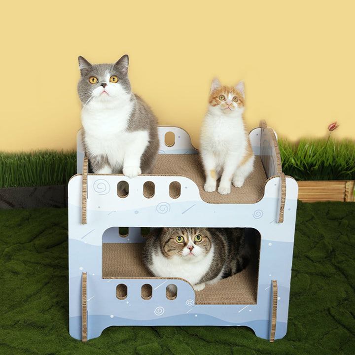 Boys' Dormitory Blue Cat Scratching Board-4
