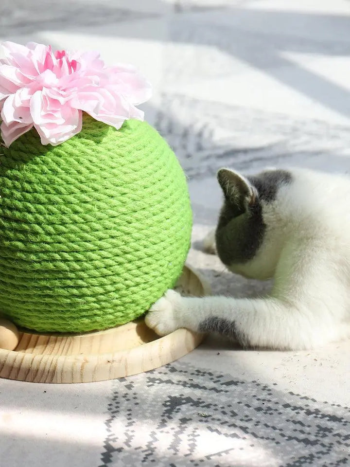 Cactus Paw-Purrfect Cat Grinding Toy Dog Hugs Cat