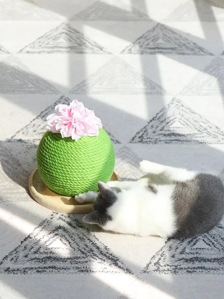Cactus Paw-Purrfect Cat Grinding Toy Dog Hugs Cat