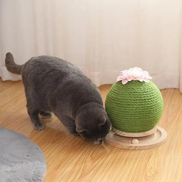 Cactus Paw-Purrfect Cat Grinding Toy Dog Hugs Cat