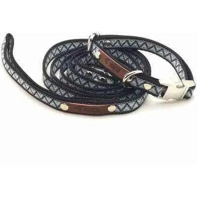 Chic Pooch Handcrafted Lead: Enchanted Designer Dog Lead-4