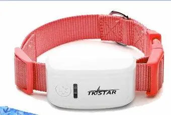 Pettrack Gps: The Ultimate Locator Device For Your Beloved Pets Dog Hugs Cat
