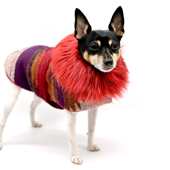 “Salinas” Jacket with Removable Faux Fur Collar DoggieCoutureNY