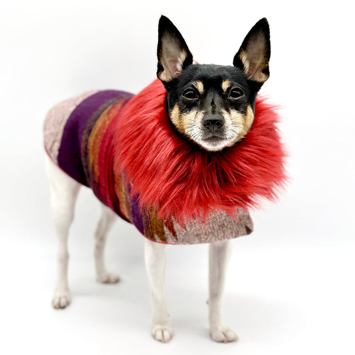 “Salinas” Jacket with Removable Faux Fur Collar DoggieCoutureNY