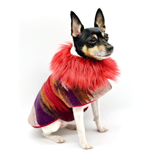 “Salinas” Jacket with Removable Faux Fur Collar DoggieCoutureNY