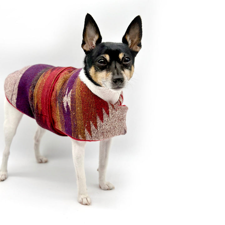 “Salinas” Jacket with Removable Faux Fur Collar DoggieCoutureNY