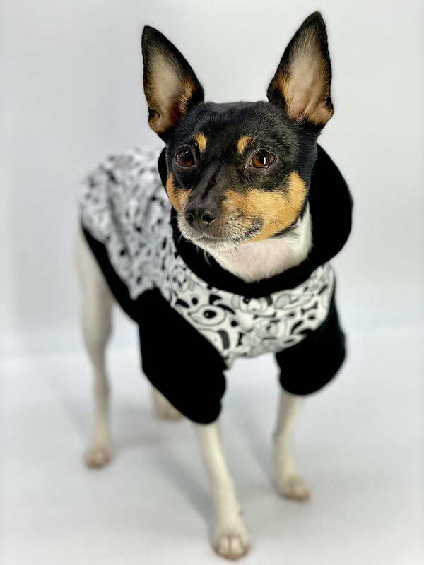 DCNY: Iconic "Pup Art" Designer Dog Hoodie DoggieCoutureNY