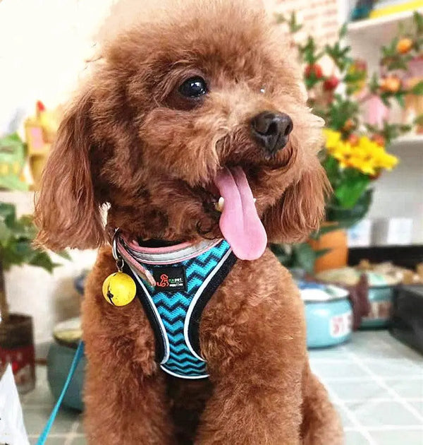 Reflective Stroke Prevention Pet Harness With Leash-0