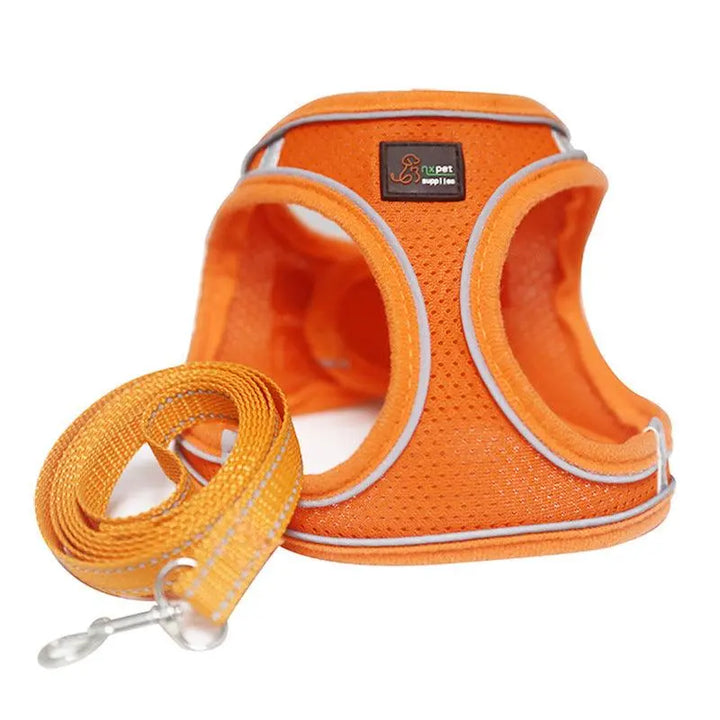 Reflective Stroke Prevention Pet Harness With Leash-1