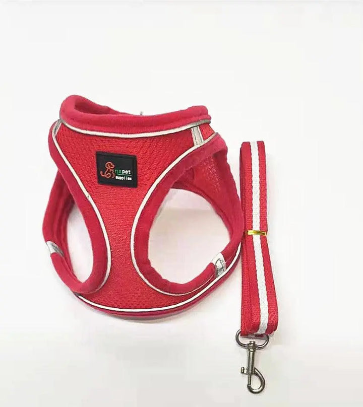Reflective Stroke Prevention Pet Harness With Leash-2