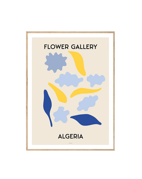 Flower Gallery Algeria-0