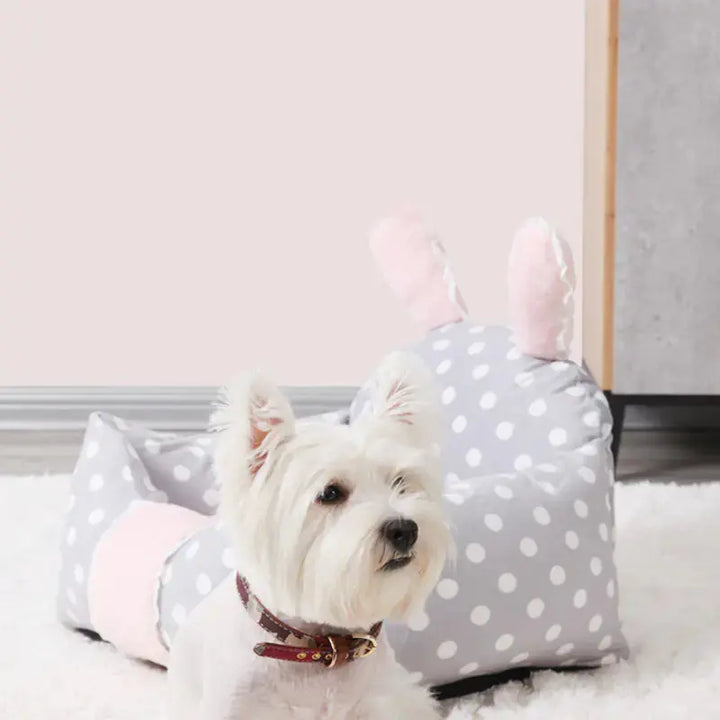Universal Dog Bed with Washable Cushion for Pets My Store