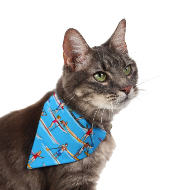 Stand Up Paddleboards Pet Scarf Pugs2Persians