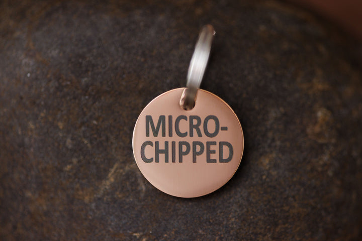 Stainless Steel "MICROCHIPPED" and "I'm Chipped" tags Pugs2Persians