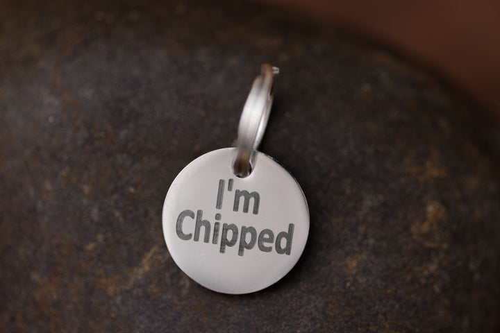 Stainless Steel "MICROCHIPPED" and "I'm Chipped" tags Pugs2Persians