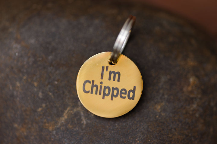 Stainless Steel "MICROCHIPPED" and "I'm Chipped" tags Pugs2Persians