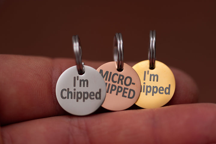 Stainless Steel "MICROCHIPPED" and "I'm Chipped" tags Pugs2Persians