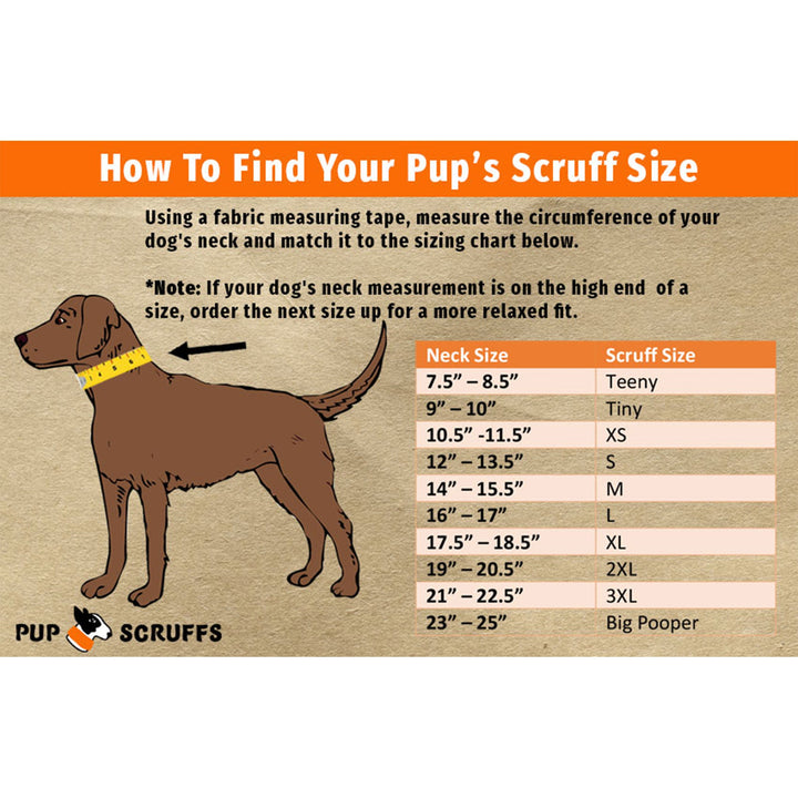 Smash Crackle Orange Pup Scruff-3