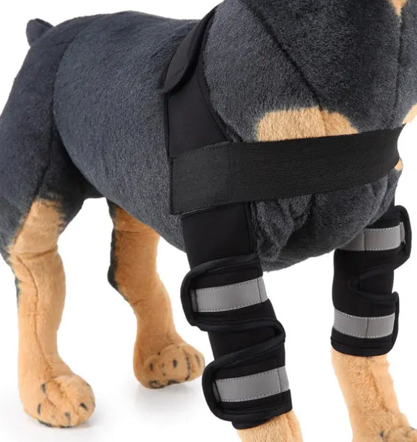 Dog Knee Brace and Leg Protector for Injury Recovery My Store