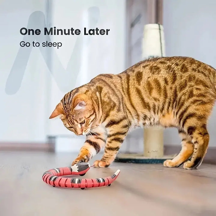 USB Charging Interactive Snake Toy for Cats - Endless Fun My Store
