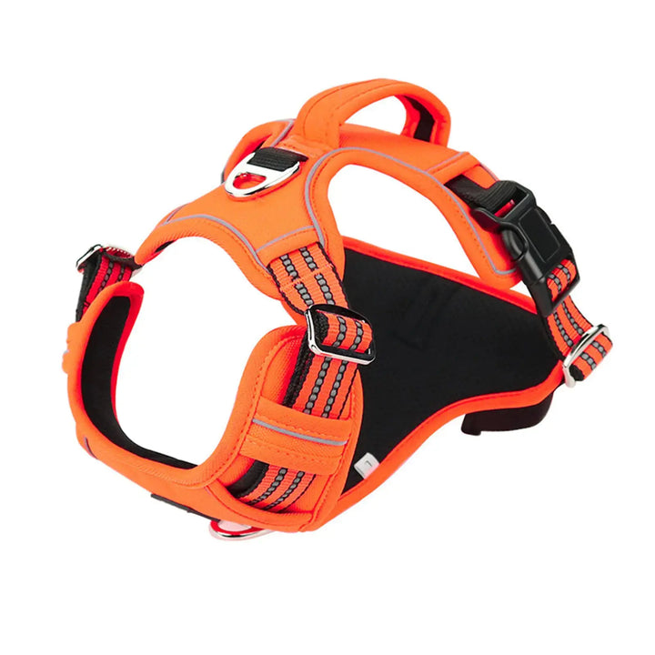 Durable Waterproof Pet Harness with Vertical Handle My Store