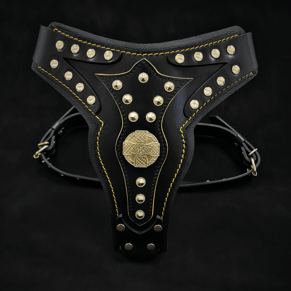 The "Maximus" harness V2-0