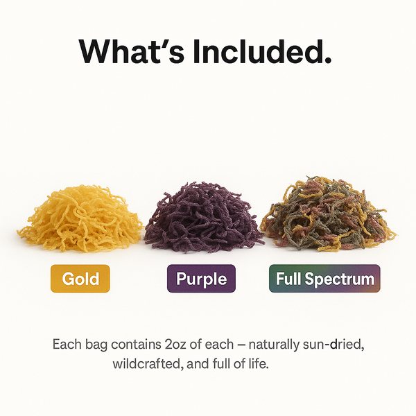 Seamoss Trio Bundle – 2oz Gold, Purple & Full Spectrum-0